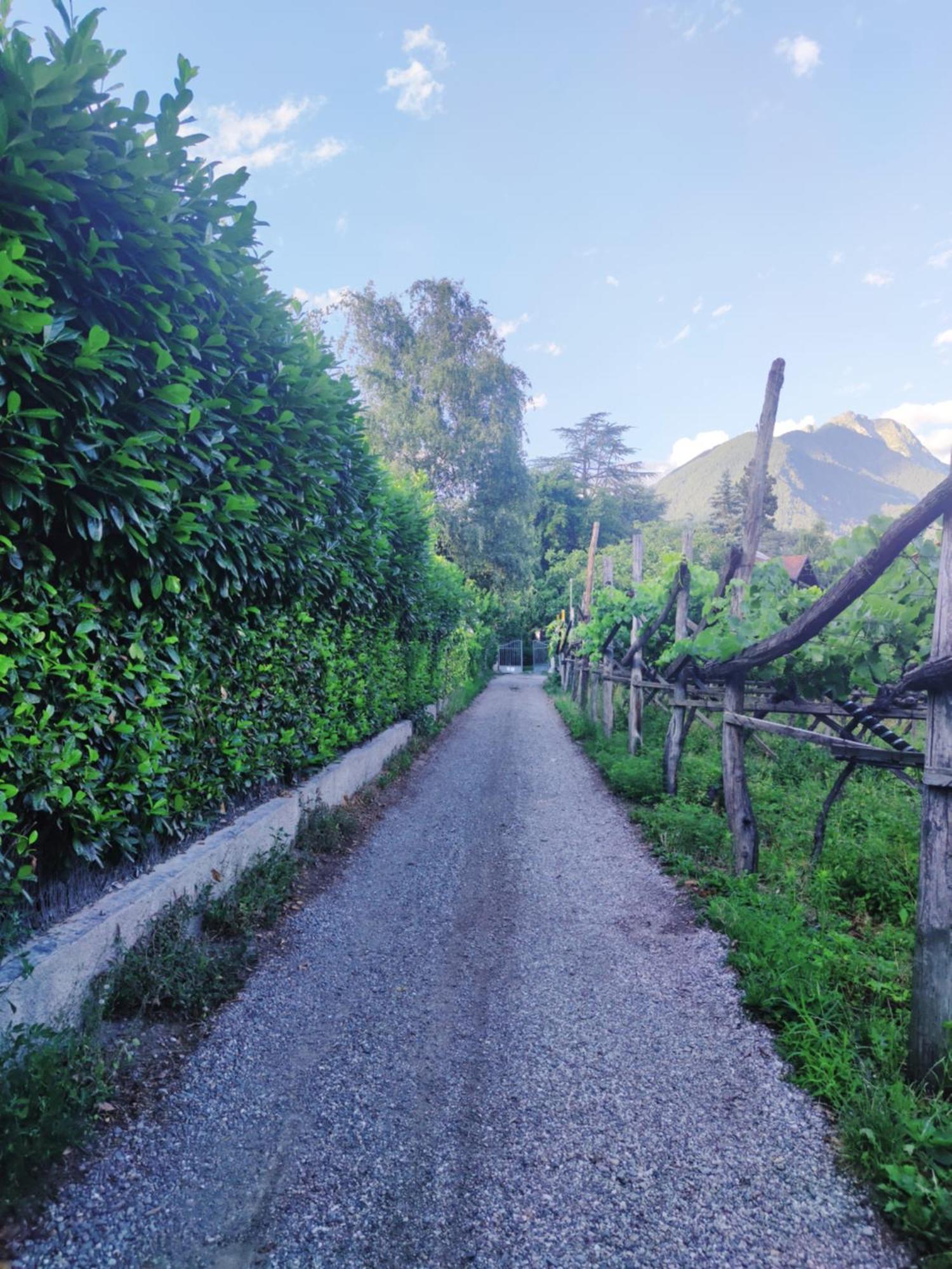 Nora S Home 5 - Panoramic Terrace & Bio Garden Merano Exterior foto